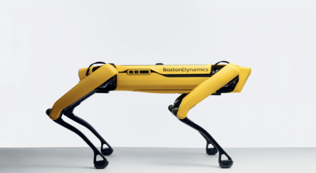 Yeni ‘Kâşif’ Robot Köpek Satışta