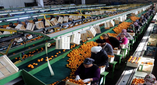 1.37 milyar dolarlık yaş meyve sebze ihracatı yapıldı