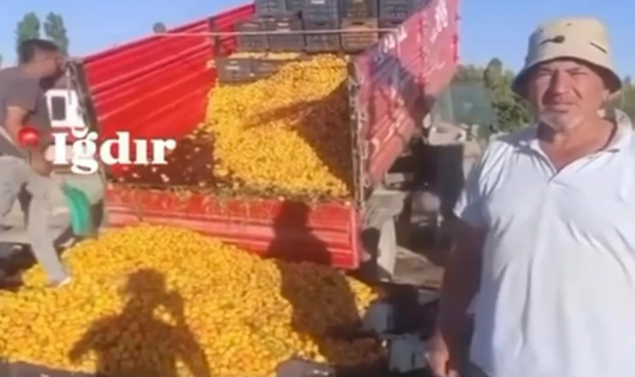 Yanıltıcı paylaşıma milyon liralık ceza!