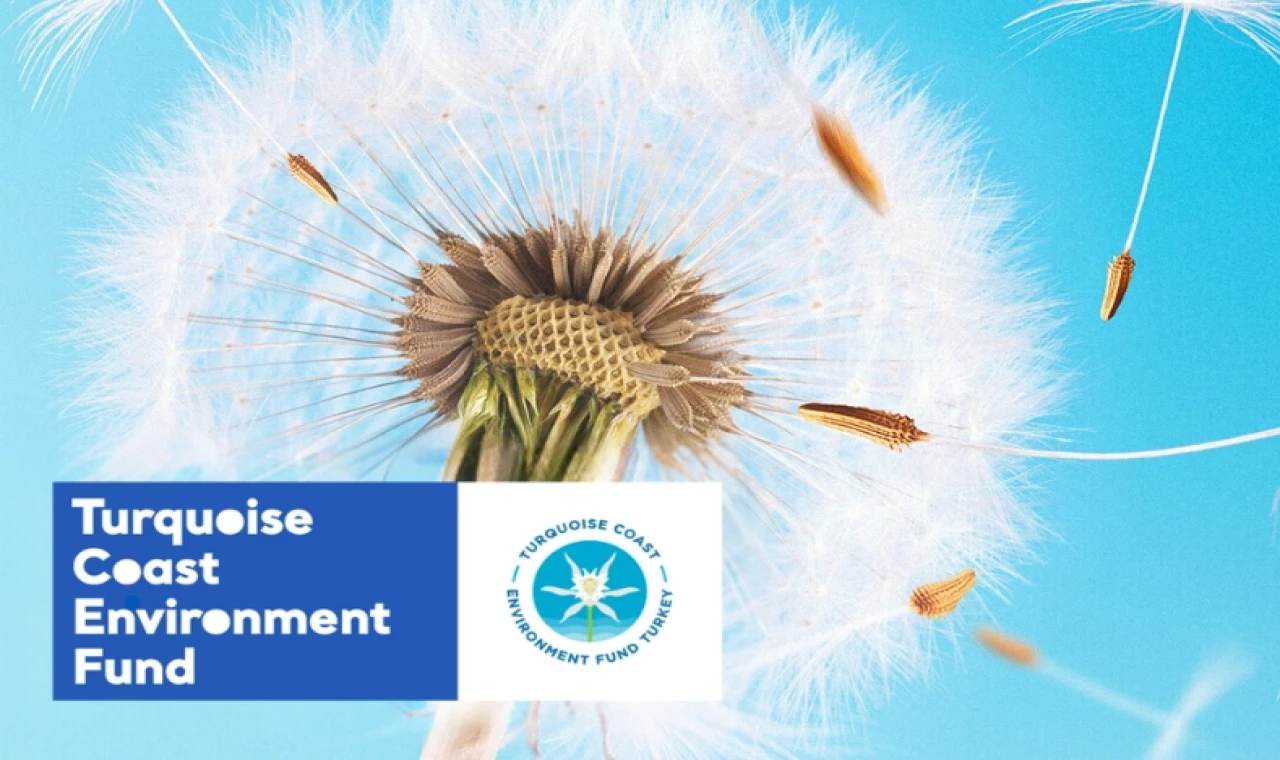 TCEF 2026 Hibe Programı’nda Türkiye’nin güney ve batı kıyılarına destek