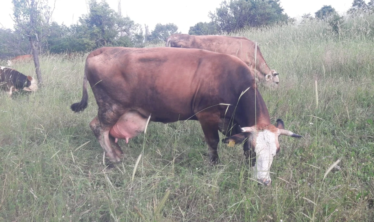 Çok sayıda mahalle ve köy karantinada