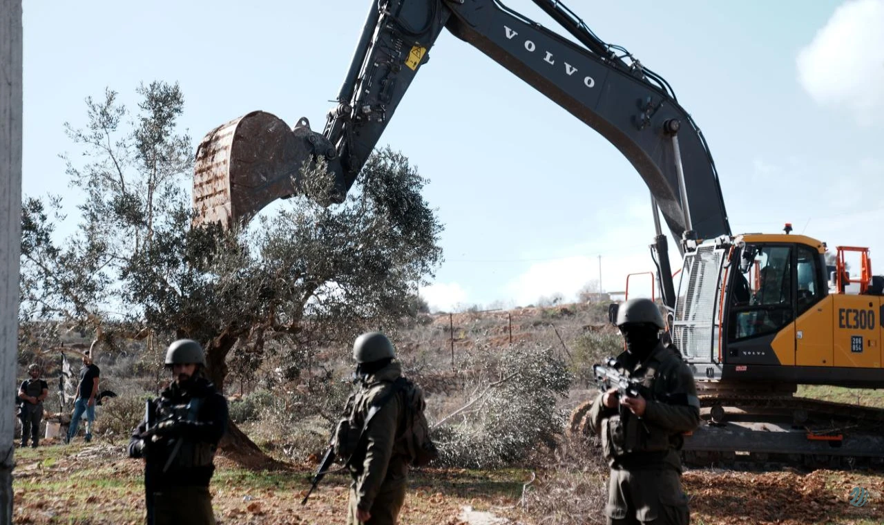 Terör devleti İsrail, Batı Şeria'da ağaçları da katletmeye başladı