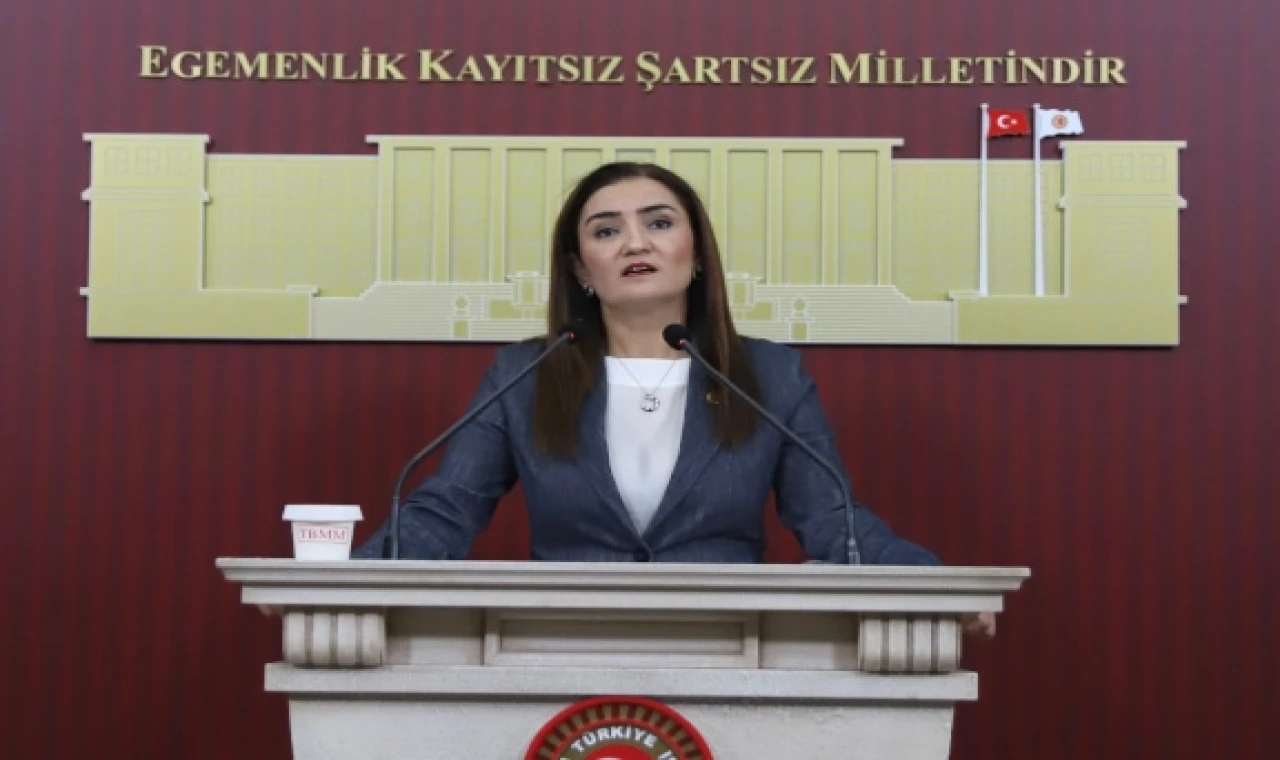 CHP Grup Başkanvekili Kılıç’tan silahsızlanma vurgusu