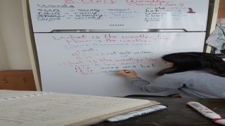 Ebru öğretmen buzdolabını yazı tahtası yaparak öğrencilerine ders anlattı