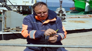 Balıkçılar koronavirüs nedeniyle av sezonunu erken kapattı