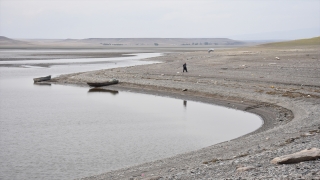 Toplu balık ölümlerinin yaşandığı Arpaçay Barajı’nın kapakları kısmen kapatıldı