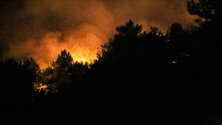 Kastamonu’da çıkan orman yangınına müdahale ediliyor