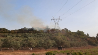 Antalya’da çıkan orman yangınları söndürüldü