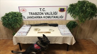 Trabzon’da düzenlenen uyuşturucu operasyonunda bir kişi gözaltına alındı