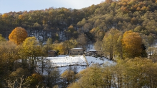 Artvin Boyuncuk köyünde etkili olan kar, seyrine doyumsuz manzara oluşturdu