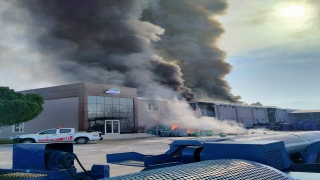 Balıkesir’de turşu fabrikasında yangın çıktı