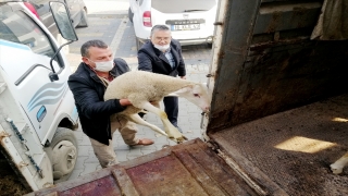 Bursa’dan, Kütahya’da yangında 70 koyunu telef olan üreticiye destek seferberliği