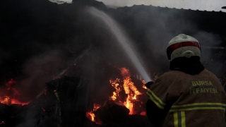 Bursa’da büyükbaş hayvan çiftliğinde çıkan yangın söndürüldü