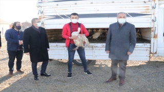 Yozgat’ta çiftçilere üniversitede ıslah edilen 600 yerli ırk kaz dağıtıldı
