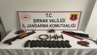Şırnak’ta silah kaçakçılığı operasyonu: 1 gözaltı