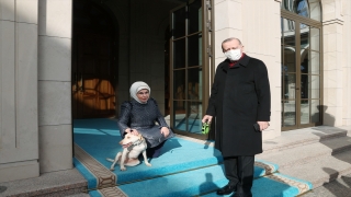 Emine Erdoğan, Cumhurbaşkanı Erdoğan’ı ”Leblebi” ile birlikte uğurladı