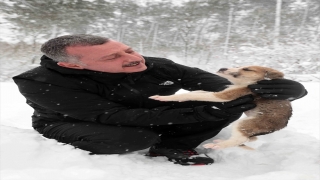 Kocaeli Büyükşehir Belediye Başkanı Büyükakın, beslediği sokak hayvanlarından iki köpek yavrusunu sahiplendi