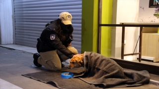 Uşak’ta polis ekipleri bazı sokak hayvanlarını battaniyeye sardı
