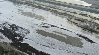 Edirne’de Tunca Nehri kenarındaki tarlalar soğuk nedeniyle buz tuttu 
