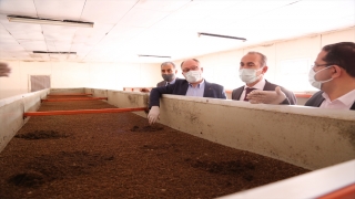 Sivas’ta çevreye ve ekonomiye katkı sağlayan tesiste 100 ton solucan gübresi üretildi