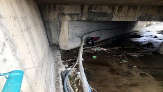 Karabük’te köprüden dereye düşen köpek yavrularını itfaiye ekipleri kurtardı