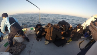 İzmir açıklarında Türk kara sularına itilen 76 sığınmacı kurtarıldı