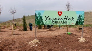 Eskişehir’de CHP Kadın Kolları tarafından ”Yaşam Hak Ormanı” oluşturuldu