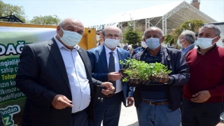 Kırşehir’de yerli tohumu teşvik için 120 bin sebze fidesi dağıtıldı