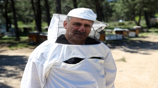 İklim değişikliği ve bilinçsiz zirai ilaç kullanımı Türkiye’de arı kayıplarını artırdı