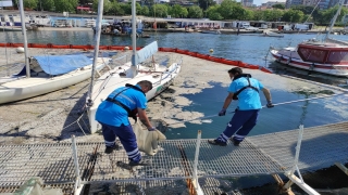 İstanbul’da müsilaj temizleme çalışmaları devam ediyor