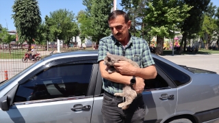 Bolu’da sattıkları aracın motor bölümüne giren kedi yavrusunu Düzce’de teslim aldılar