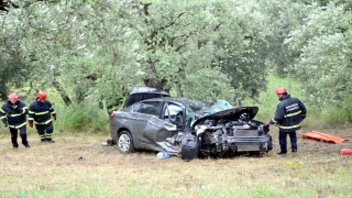Kocaeli’de yamaç aşağı sürüklenerek zeytin ağaçlarına çarpan otomobilin sürücüsü yaralandı
