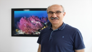 Prof. Dr. Mustafa Sarı, Marmara Denizi’ndeki müsilajın deniz canlılarına verdiği zararı değerlendirdi:
