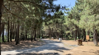İstanbul’daki mesire alanları ve tabiat parkları boş kaldı