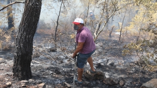 Bodrum’daki orman yangınını söndürmek için herkes seferber oldu