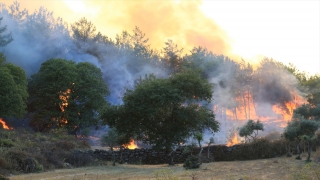 Muğla Milas’taki yangını söndürme çalışmaları devam ediyor