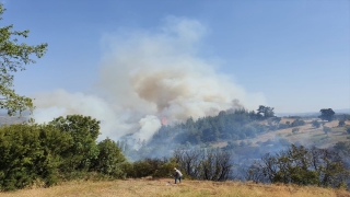 Balıkesir’in Dursunbey ilçesinde çıkan orman yangını kontrol altına alındı