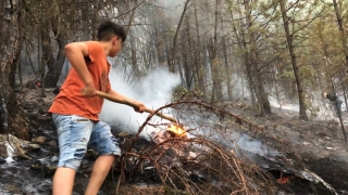 Aydın’da iki ilçede orman yangını çıktı