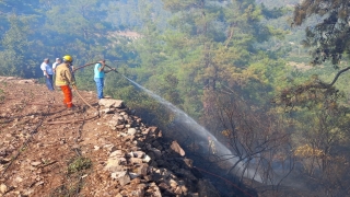 Antalya’nın Kumluca ilçesinde ormanlık alan ve tarım arazilerinde çıkan yangın söndürüldü