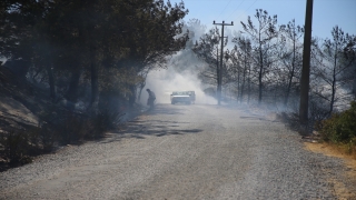 Bodrum ve Milas’taki orman yangınlarına 3 uçak ve 12 helikopterle müdahale ediliyor