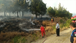 Adana’da çıkan orman yangını kontrol altına alındı 
