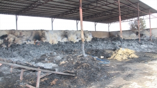 Amasya’da besi çiftliğinde çıkan yangın kontrol altına alındı