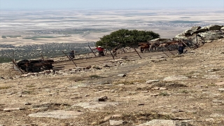 Konya’da izinsiz yılkı atı toplayan yabancı uyruklu 4 kişi yakalandı