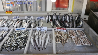 Denizlerdeki balık bolluğu Tekirdağ’da tezgahlarda çeşitliliği arttırdı