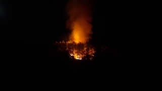 Fethiye’de çıkan orman yangınına müdahale ediliyor