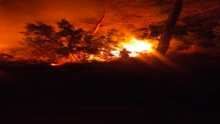 Bodrum’da çıkan orman yangını söndürüldü