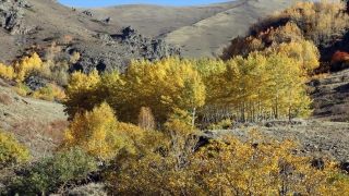 Ağrı’nın Güneykaya Dağları’ndaki vadiler sonbahar renklerine büründü