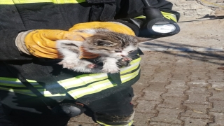 Konya’da çıkan yangında kedi yavrusunu itfaiyenin dikkati kurtardı