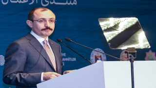 Bakan Muş, ”TürkiyeIrak İş, Yatırım ve Müteahhitlik Forumu”nda konuştu: