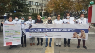 Hayvanseverlerden Kadıköy Belediye Başkanı Odabaşı’na sitem etti